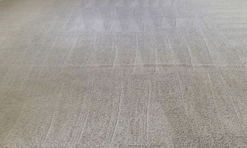 Living room carpet clean and freshly groomed after professional carpet cleaning in Cork