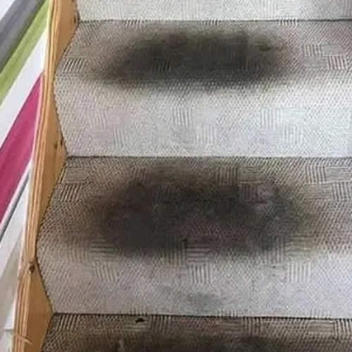 Stair carpet with dark ground-in soiling on each tread before carpet cleaning