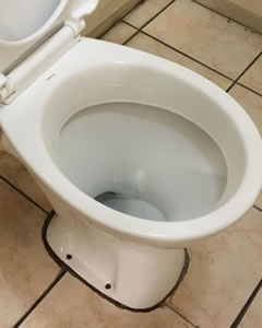 The same toilet clean and white after a bathroom deep clean