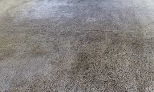 Dark, heavily soiled living room carpet before cleaning